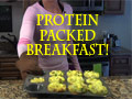 Protein-Packed Breakfast On-the-Go